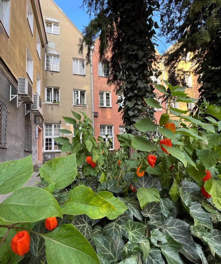 Apartament Hansa Klossa Olsztyn  Exterior photo